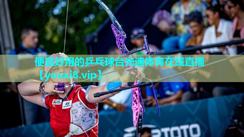 便宜好用的乒乓球台光速体育在线直播