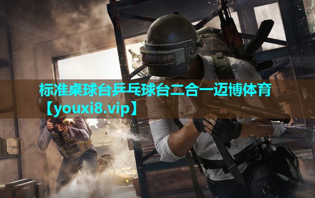 标准桌球台乒乓球台二合一迈博体育