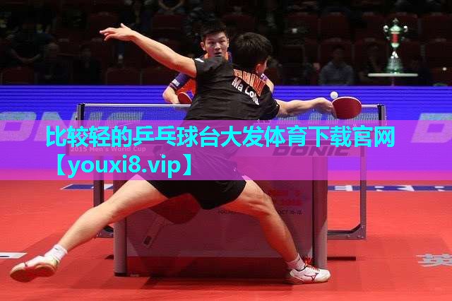 比较轻的乒乓球台大发体育下载官网