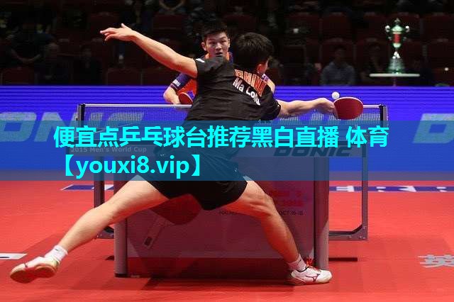 便宜点乒乓球台推荐黑白直播 体育